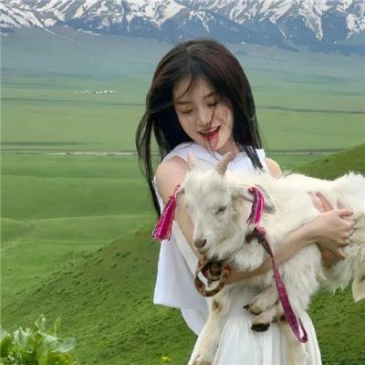 明月山海揽芳华